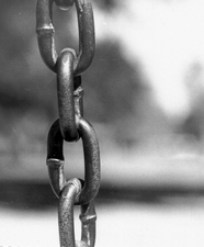 chainx Liens de février 2006
