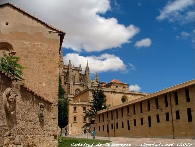 Cathédrale - Salamanca