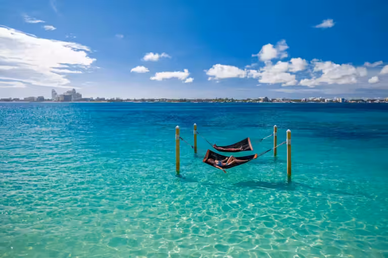 Le prof est parti aux Bahamas photo