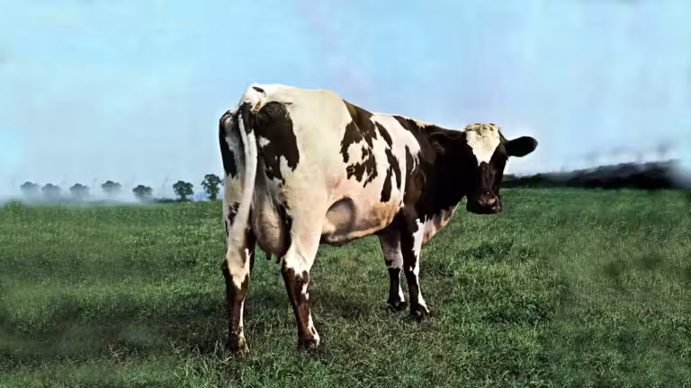 Les systèmes politiques et économiques (avec des vaches) photo