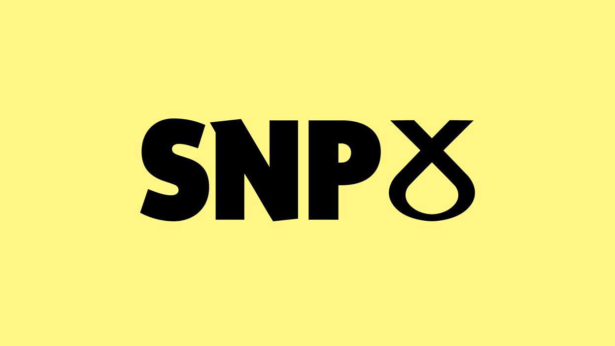 The rise of the Scottish National Party (SNP) photo