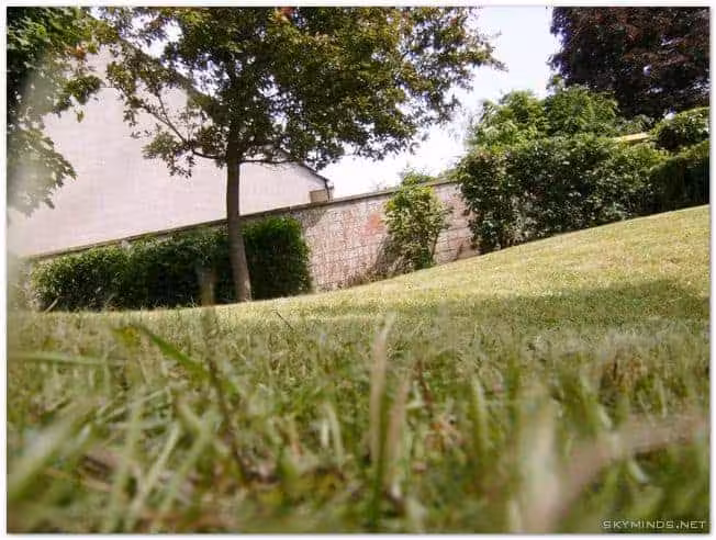 jardin 200905