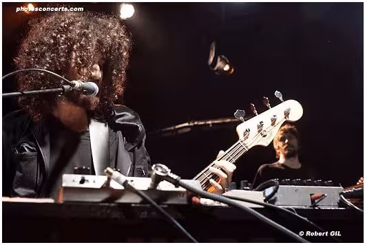 concert : 2009 09 14 Wolfmother au Trabendo bass guitar