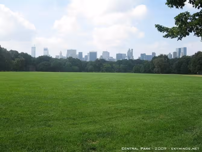 New York City : Central Park, Guggenheim Museum, Staten Island, The Statue of Liberty, Wall Street, Meatpacking District photo 14