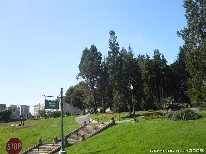 San Francisco : Japanese Tea Garden, Golden Gate Bridge, Alcatraz, Fisherman's Wharf, Pier 39 photo 32