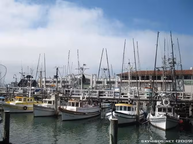 San Francisco : Union Square, downtown, cable car, Fisherman's Wharf photo 6
