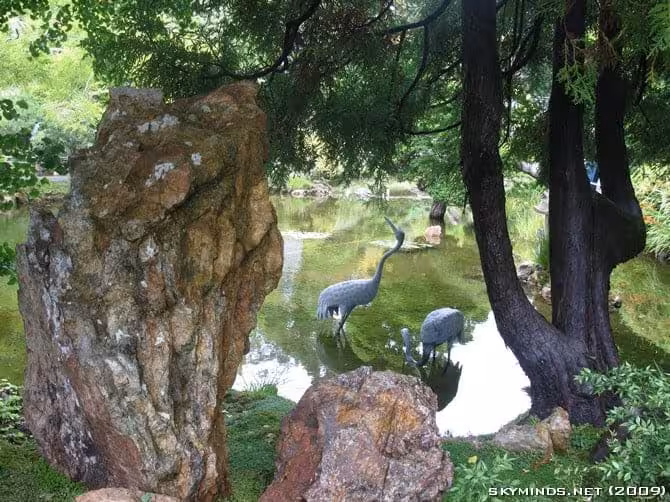 San Francisco : Japanese Tea Garden, Golden Gate Bridge, Alcatraz, Fisherman's Wharf, Pier 39 photo 17