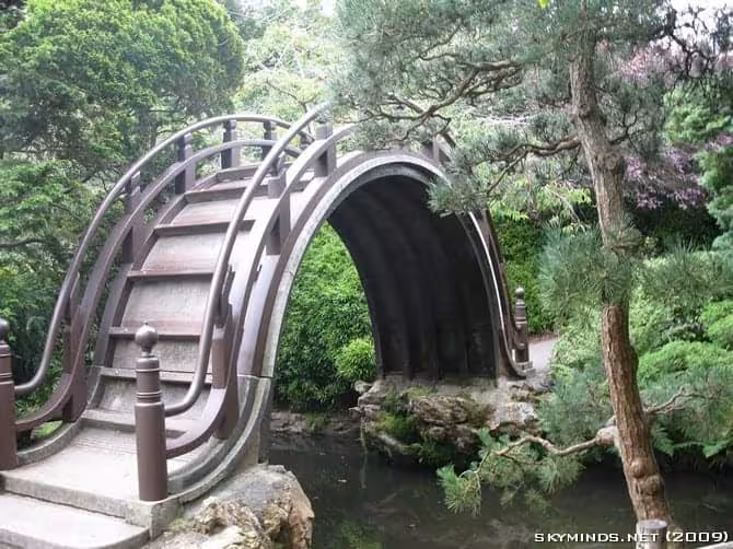 San Francisco : Japanese Tea Garden, Golden Gate Bridge, Alcatraz, Fisherman's Wharf, Pier 39 photo 16
