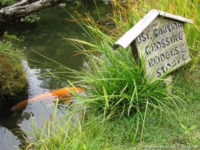 San Francisco : Japanese Tea Garden, Golden Gate Bridge, Alcatraz, Fisherman's Wharf, Pier 39 photo 21