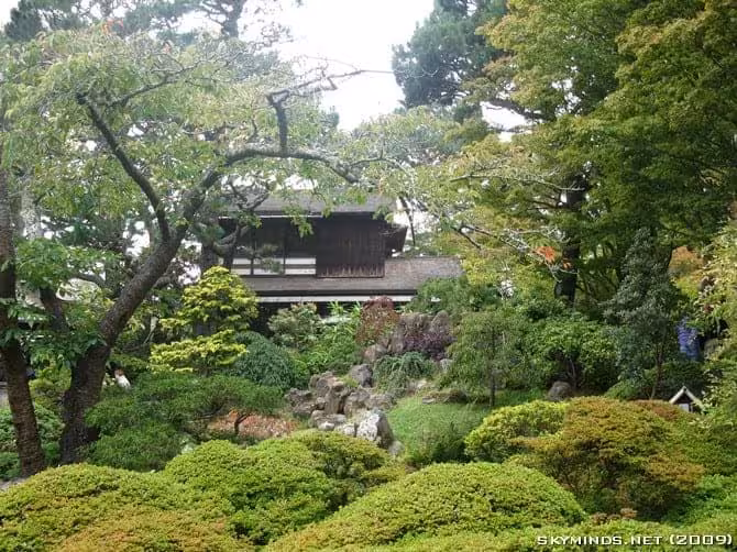 San Francisco : Japanese Tea Garden, Golden Gate Bridge, Alcatraz, Fisherman's Wharf, Pier 39 photo 22