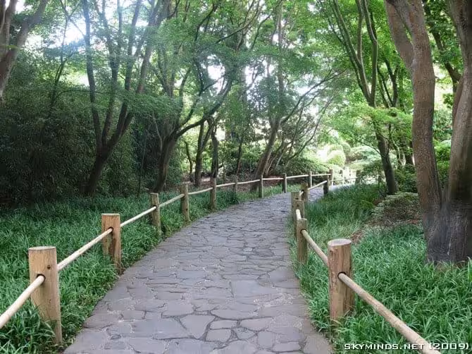 San Francisco : Japanese Tea Garden, Golden Gate Bridge, Alcatraz, Fisherman's Wharf, Pier 39 photo 12