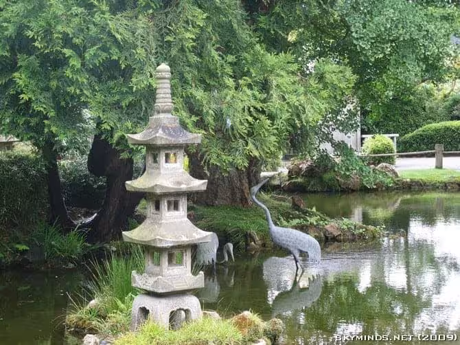 San Francisco : Japanese Tea Garden, Golden Gate Bridge, Alcatraz, Fisherman's Wharf, Pier 39 photo 18