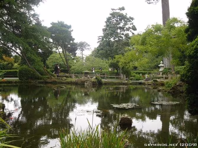 San Francisco : Japanese Tea Garden, Golden Gate Bridge, Alcatraz, Fisherman's Wharf, Pier 39 photo 19