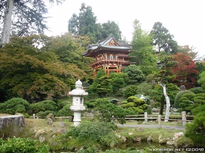 San Francisco : Japanese Tea Garden, Golden Gate Bridge, Alcatraz, Fisherman's Wharf, Pier 39 photo 11