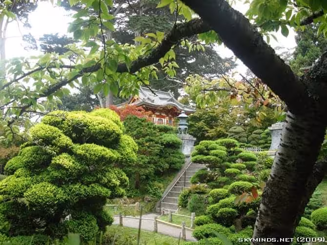 San Francisco : Japanese Tea Garden, Golden Gate Bridge, Alcatraz, Fisherman's Wharf, Pier 39 photo 14