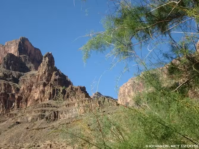 Excursion au Grand Canyon : en avion, hélicoptère et bateau photo 19