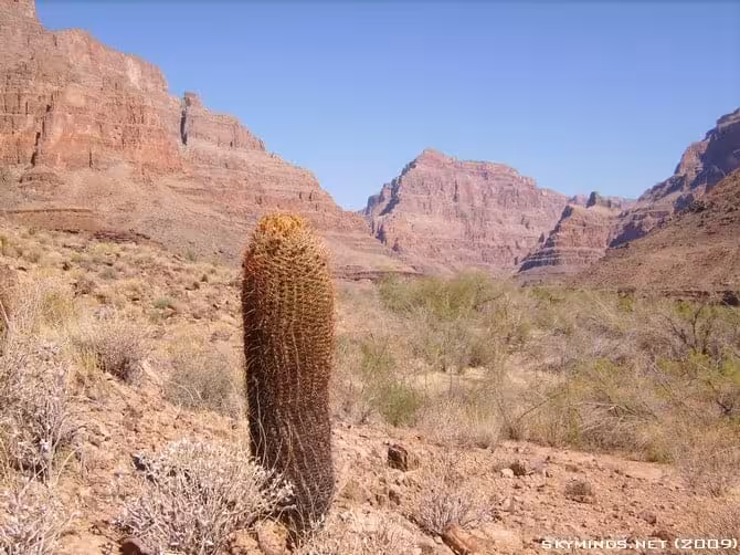 Excursion au Grand Canyon : en avion, hélicoptère et bateau photo 28