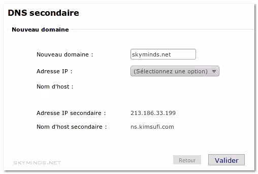 dns ovh domaines dns1 dns ovh domaines dns1
