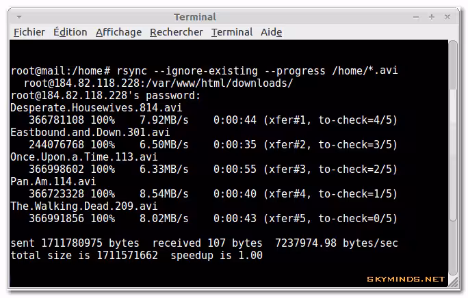 rsync speeds rsync speeds