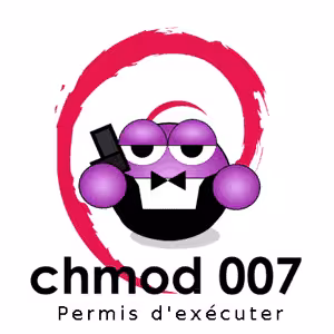 Serveur dédié : CHMOD récursif sur des fichiers ou répertoires en ligne de commande photo