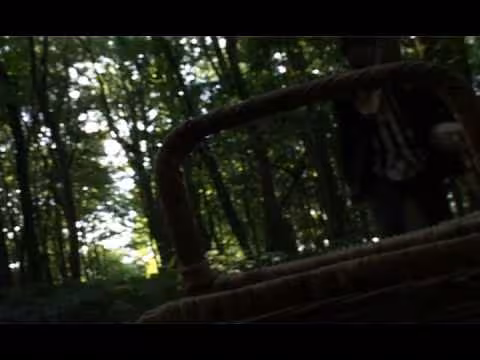Passion Pit - Moth's Wings photo