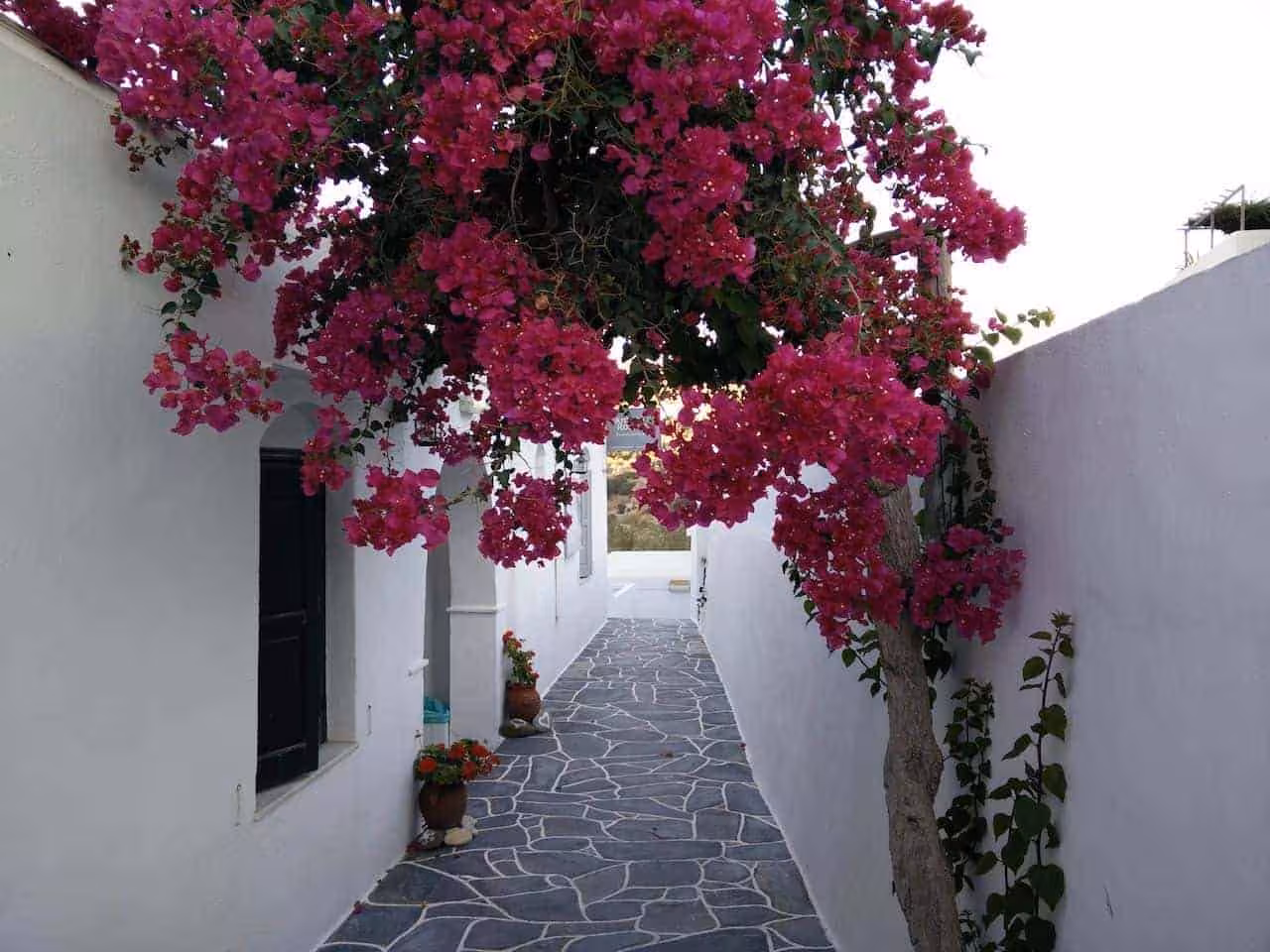 Les Cyclades : l'île de Sifnos photo