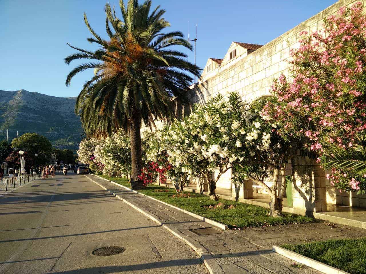 La Croatie : Korçula photo 7