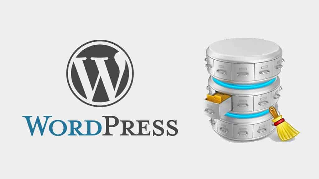 WordPress : résoudre le problème de la table wp_options à qui manquent une colonne Unique et une Primary Key photo