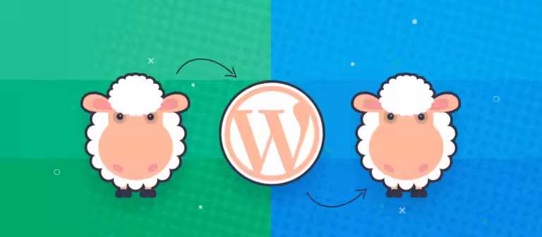 Créer un site staging pour WordPress sur un sous-domaine photo