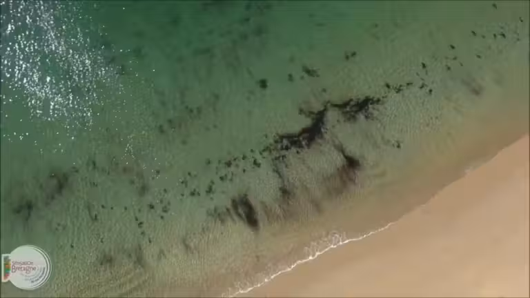 nevez vue du ciel