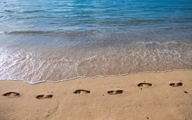 sandy tropical beach with sea waves foot steps shore footprints sand sunset 265223 8371