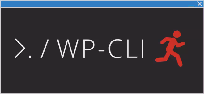Une fenêtre de terminal stylisée affiche la commande « ./WP-CLI » en grand texte blanc, indiquant un audit de profil WordPress pour les problèmes de performances. À droite, un bonhomme allumette rouge s'exécute. La fenêtre comporte une barre de titre bleue et une icône de fermeture.