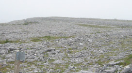 The Burren