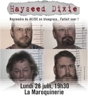 concert_20100628-hayseed-dixie-poster