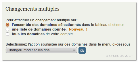 Serveur dédié : changer les DNS du nom de domaine et le faire pointer vers le serveur photo 4