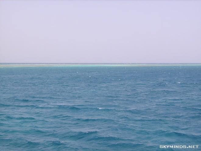 Plongées en Mer Rouge et dauphins au large d’Hurghada photo 2