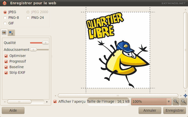 gimp enregistre web