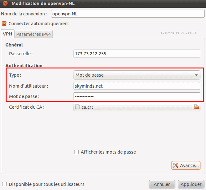 gnome connexion vpn settings