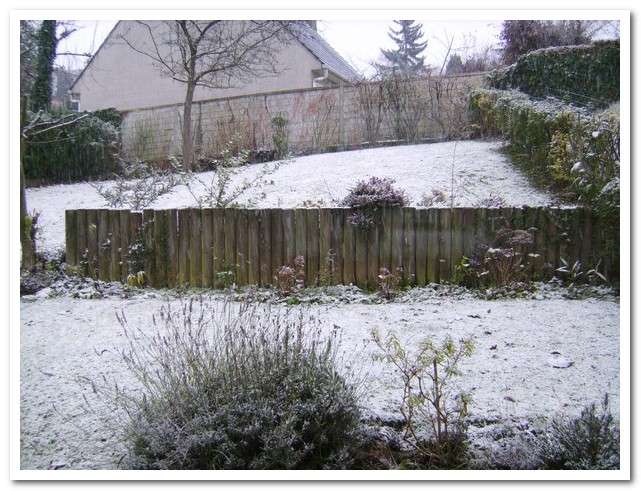 jardin_200812_neige