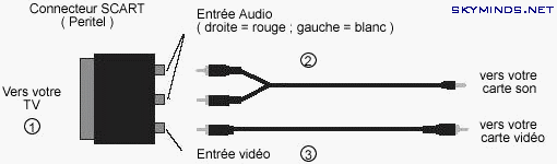 SCART Schema