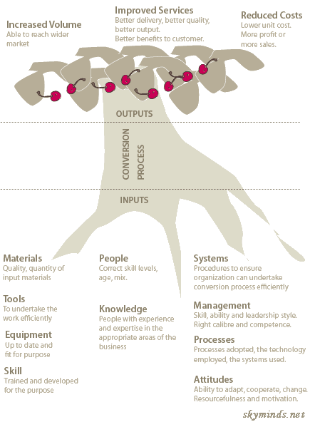 Productivity conceptual model