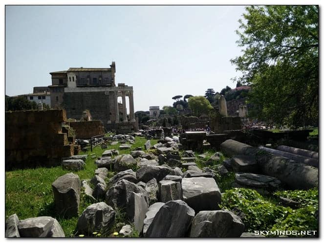 Vestiges du forum