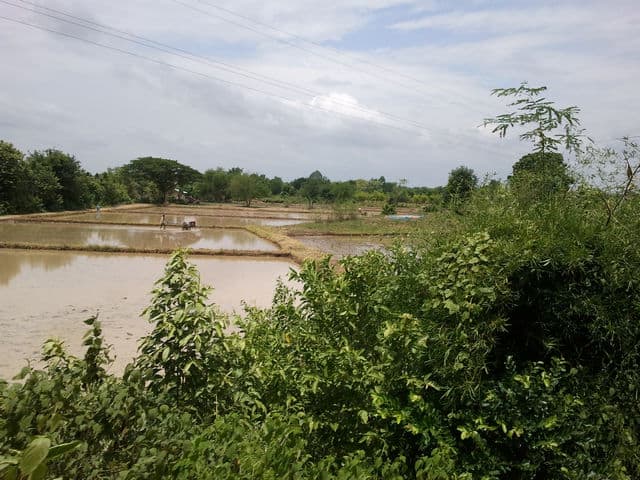 Deux semaines en Thaïlande : train de la mort, pont de la rivière Kwaï et Bangkok photo 11