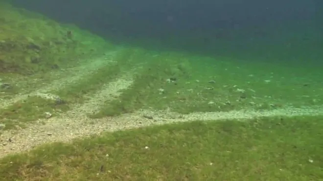 Un chemin d'herbe verte et de terre sous le Lac Vert, une prairie submergée.
