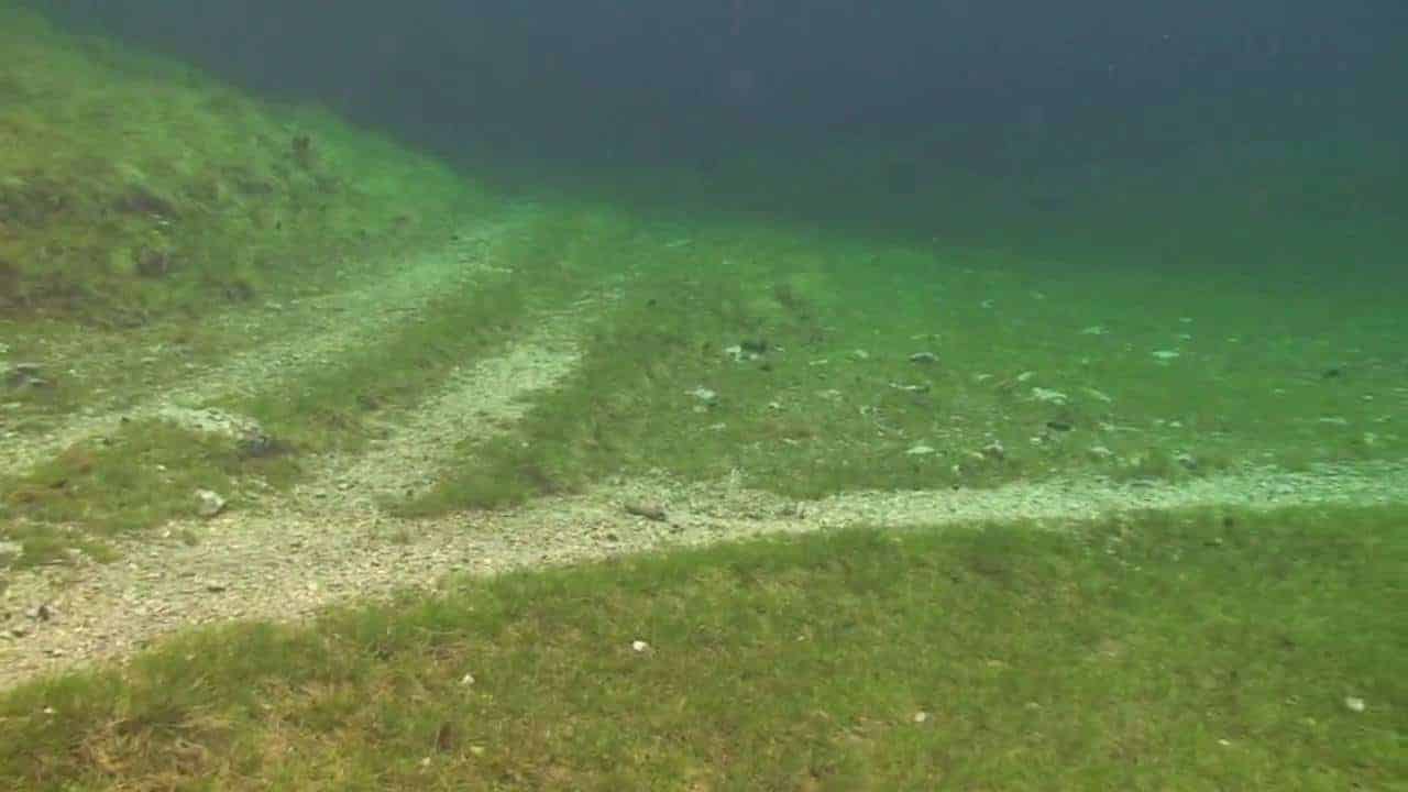 Un chemin d'herbe verte et de terre sous le Lac Vert, une prairie submergée.