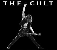 the cult