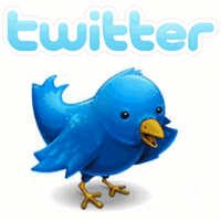 Tout savoir sur Twitter photo