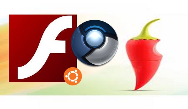 Ubuntu : installer Pepper Flash sous Chromium pour lire les vidéos Flash photo