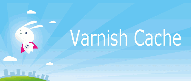 Serveur dédié : installer et configurer Varnish 4 photo