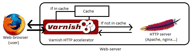 varnish diagram